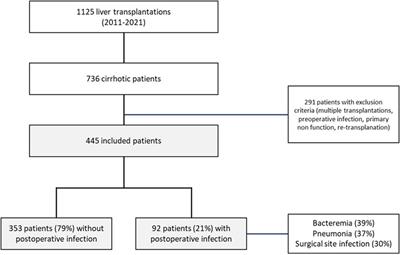 Role of Lymphopenia in Early prediction of Infection Following Orthotopic Liver Transplantation in Cirrhotic Patients